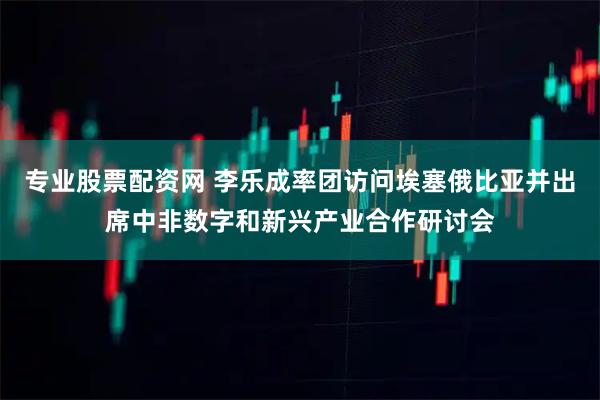 专业股票配资网 李乐成率团访问埃塞俄比亚并出席中非数字和新兴产业合作研讨会